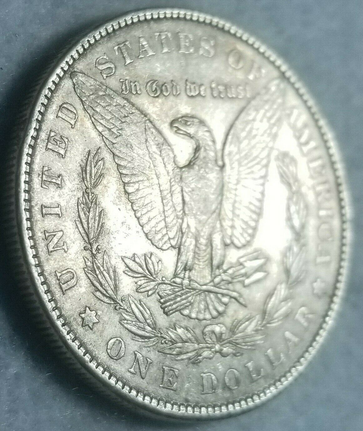 1901-P-Morgan-Silver-Dollar-Grade-Opinions